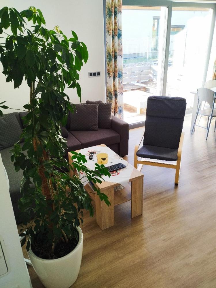 Apartman Dasa Frymburk Exterior photo